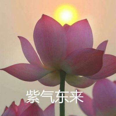 wifi连连看最新版(暂未上线)v2.0 安卓版